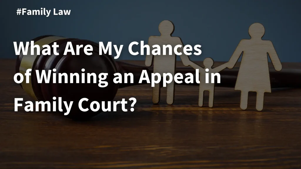 What Are My Chances of Winning an Appeal in Family Court_ Image